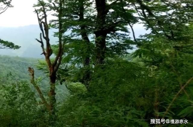 网上购物运输问题游戏画面
